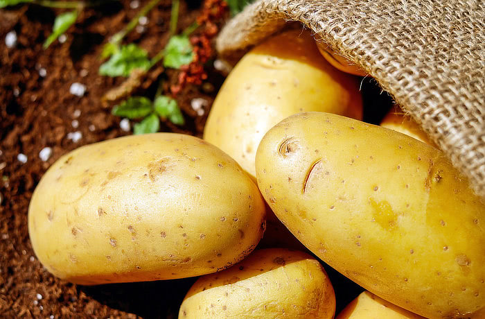 varné typy brambory